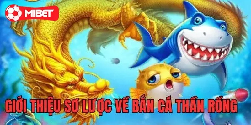 Đôi nét giới thiệu về bắn cá rồng thần Mibet