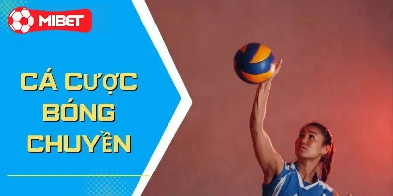 Những kèo cá cược bóng chuyền nổi bật