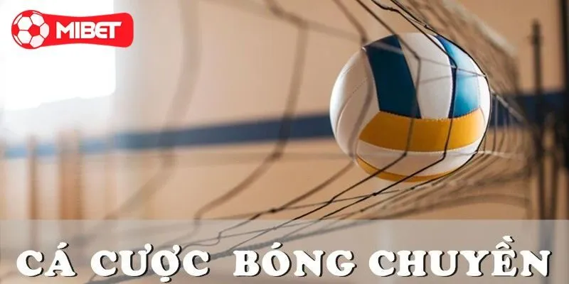 Cá cược bóng chuyền Mibet là gì?