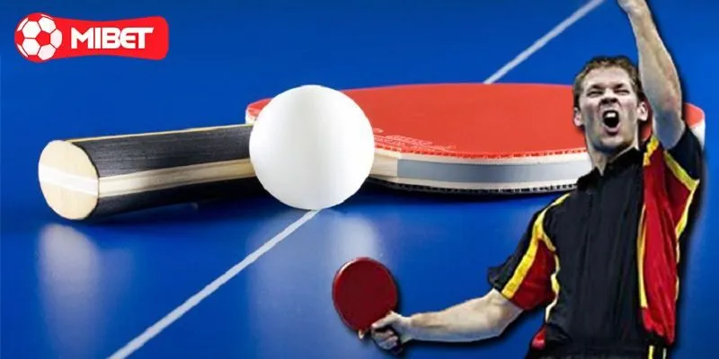 Đôi nét về cá cược bóng bàn là gì?