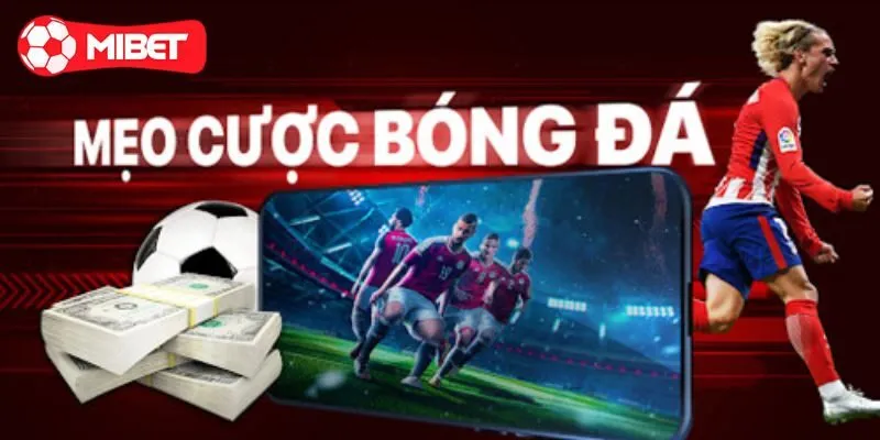 Theo dõi những phân tích trước trận từ chuyên gia
