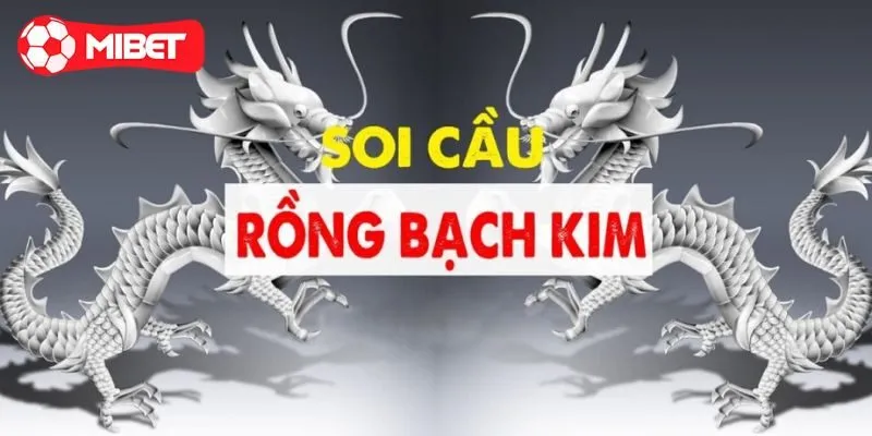 Kinh nghiệm soi cầu lô rồng bạch kim hiệu quả nhất