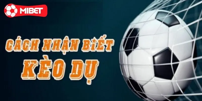 Những dấu hiệu nhận biết kèo dụ là gì?