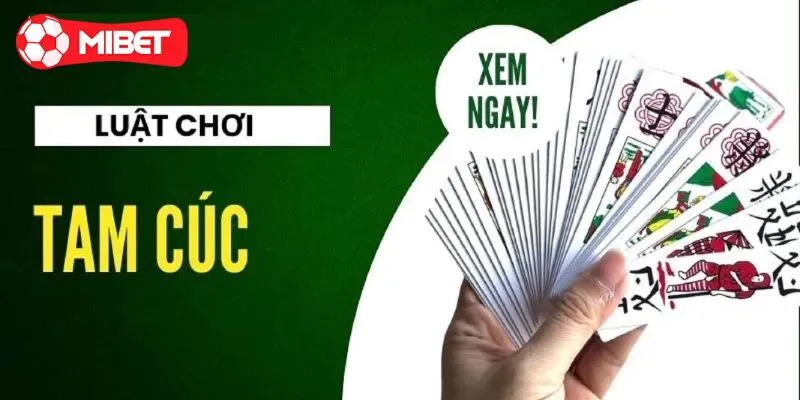 Cách chơi bài tam cúc đúng luật nhất